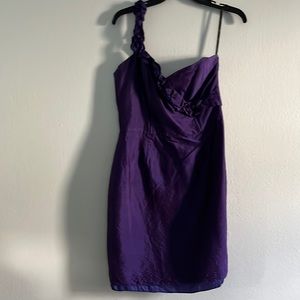 EUC Siri brand dress. Bought in Charleston SC bridal boutique. Eggplant purple.